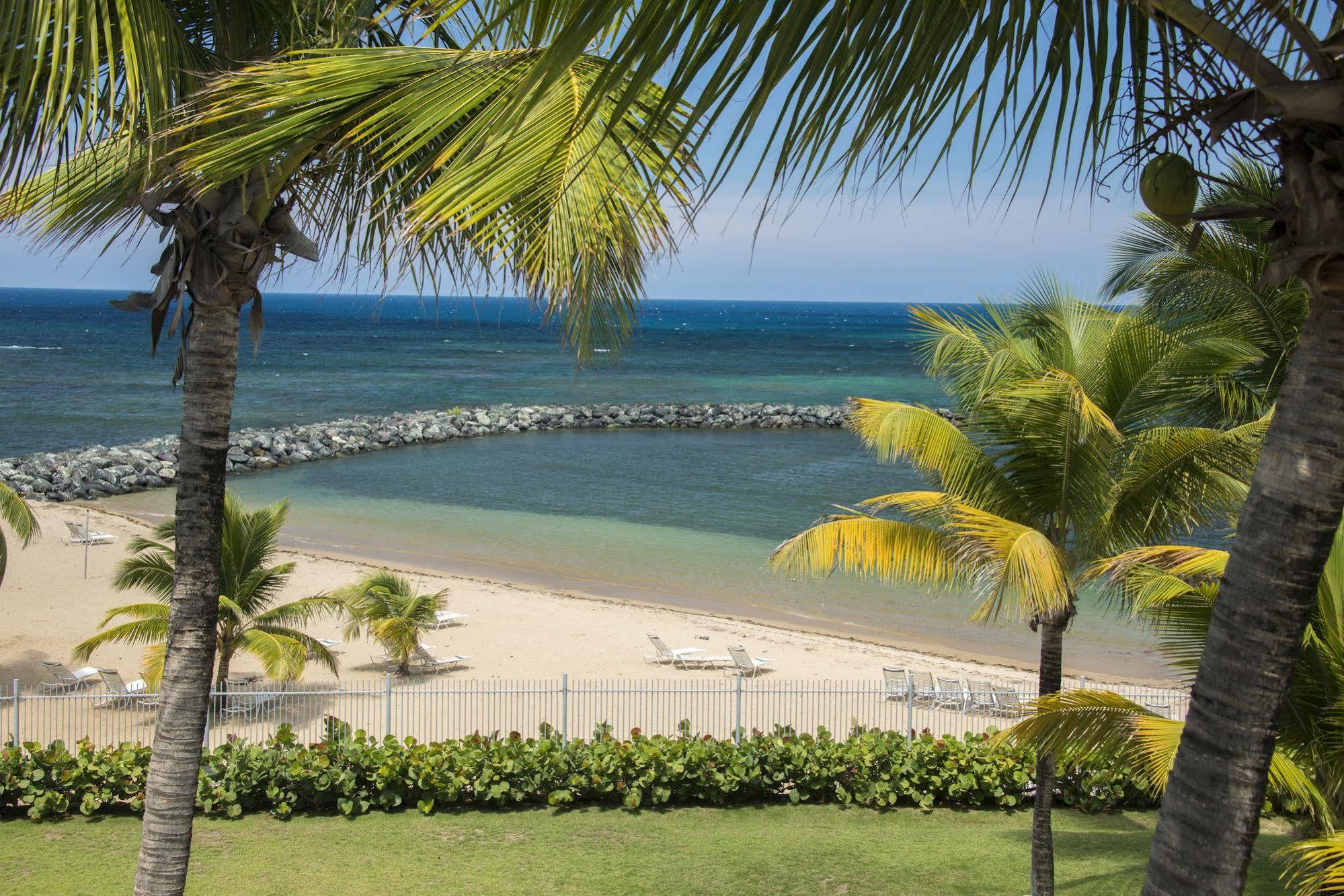 Aquarius Vacation Club At Dorado Del Mar Hotel Bagian luar foto